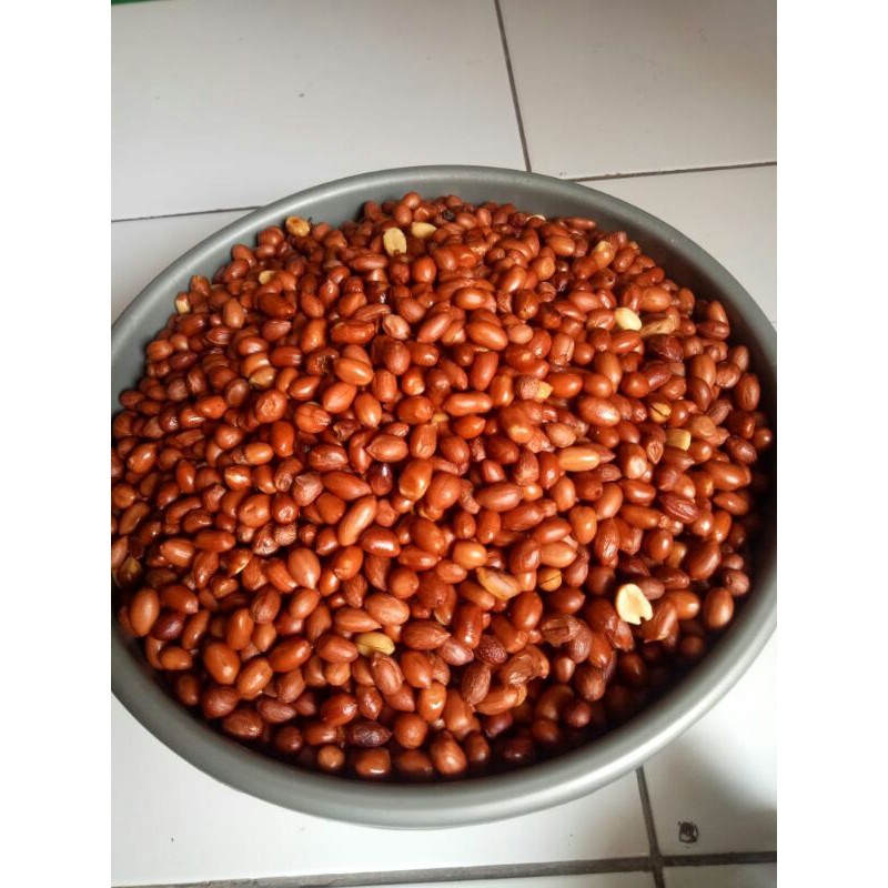 

KACANG TANAH INDIA