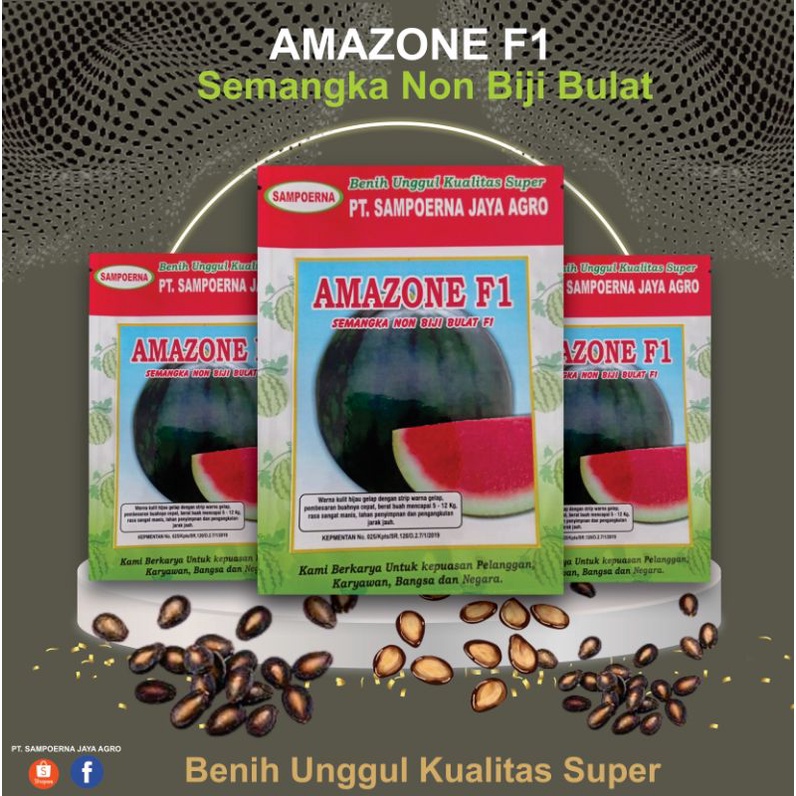 Benih semangka non biji Bulat Amazone