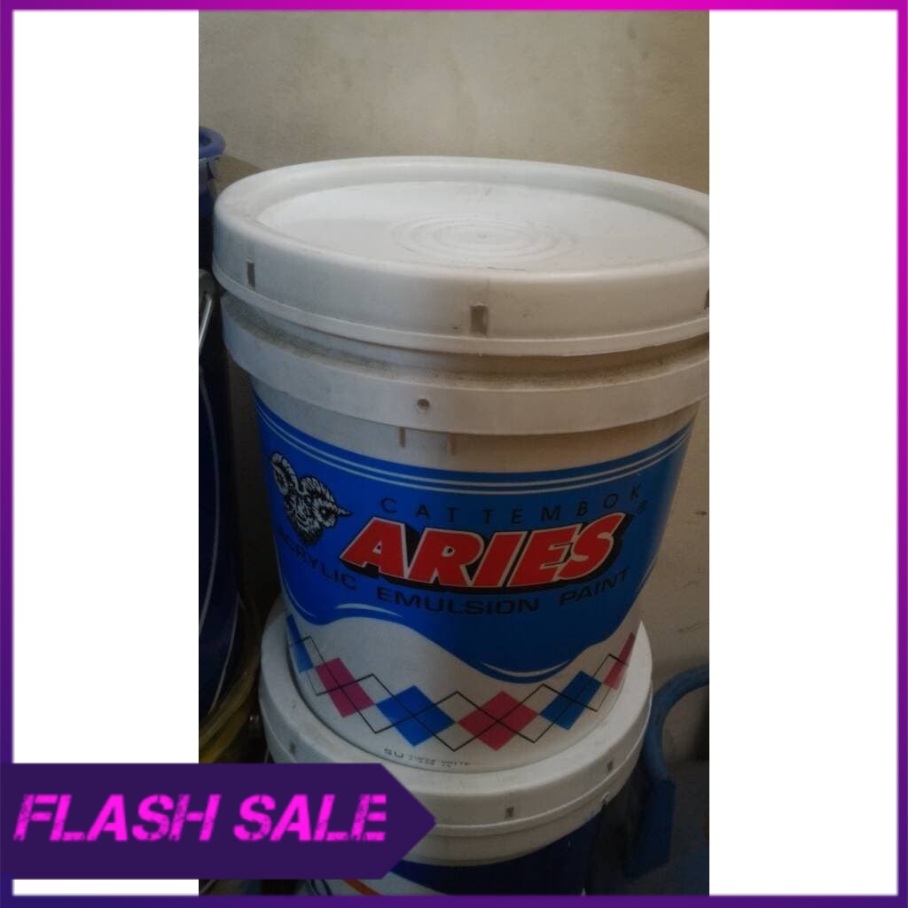 Cat Tembok Aries Putih  25 Kg