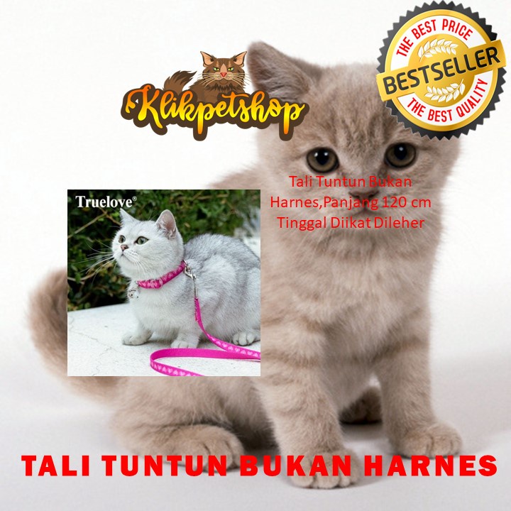 Tali Tuntun Kucing Bukan Harnes Motif Bola Klinting