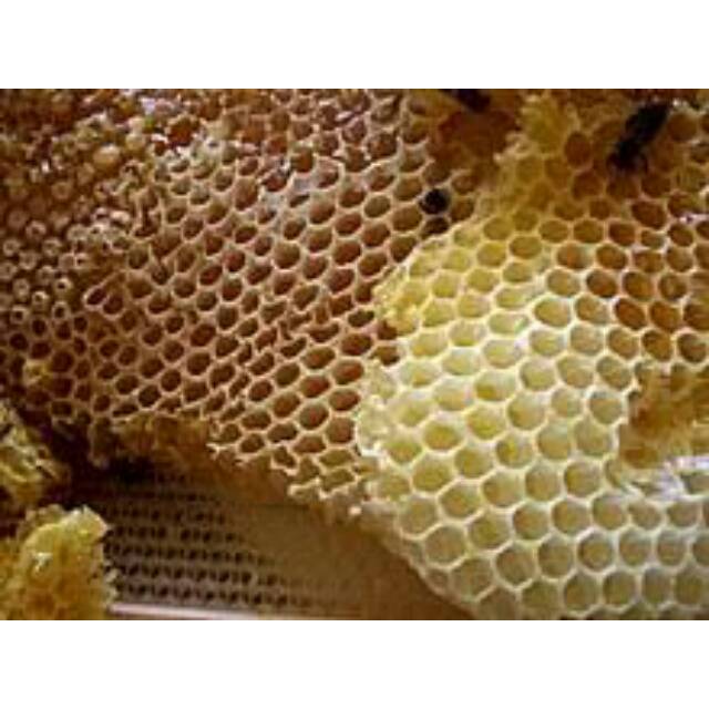 

Sarang Madu Hutan 500gr/Sarang Madu Asli/Sarang Madu Murni/Sarang Madu asli murah/Madu Sarang asli