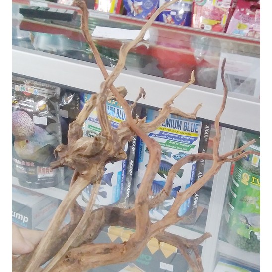 Kayu Akar Rasamala Aquascape Size M Dekorasi Hiasan untuk Aquarium 1pc