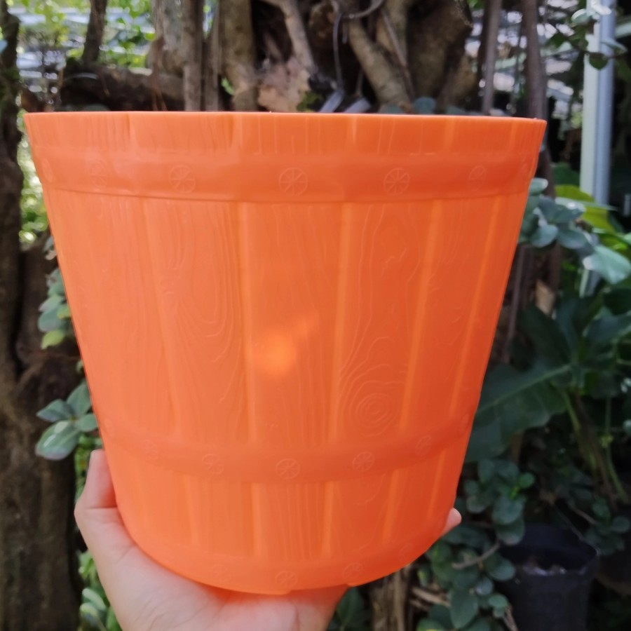 Pot Bunga Alexish 101 Orange 25 / Pot Tanaman Plastik