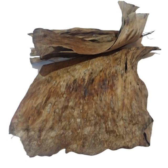 

DAUN PISANG KERING UNTUK EKSPOR