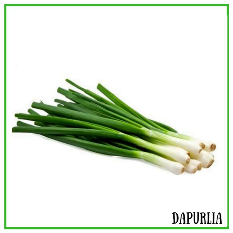 

Daun Bawang 100g PO 1HARI