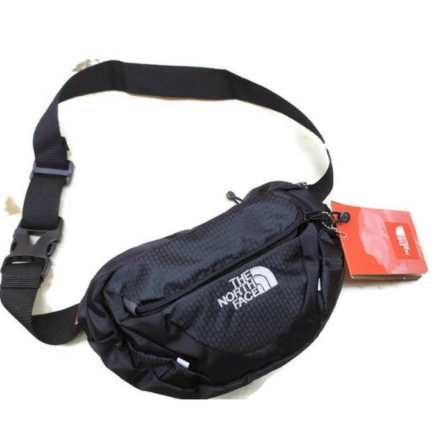 north face belt bag