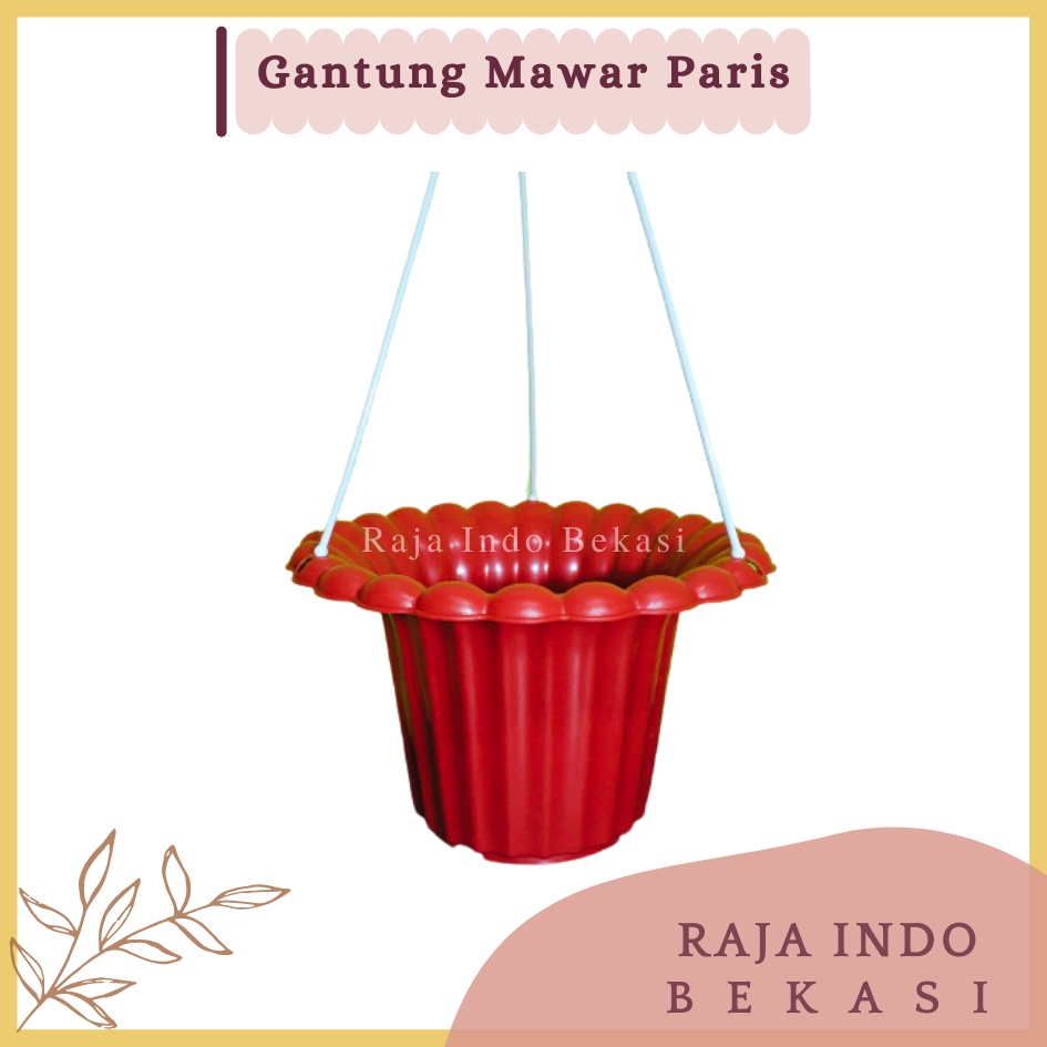 RAJAINDOBEKASI Pot Gantung Mawar Paris 20 Cm Coklat Merah Bata Pot Gantung Plastik Lion Star Dinding Putih Murah Unik Sabut Kelapa