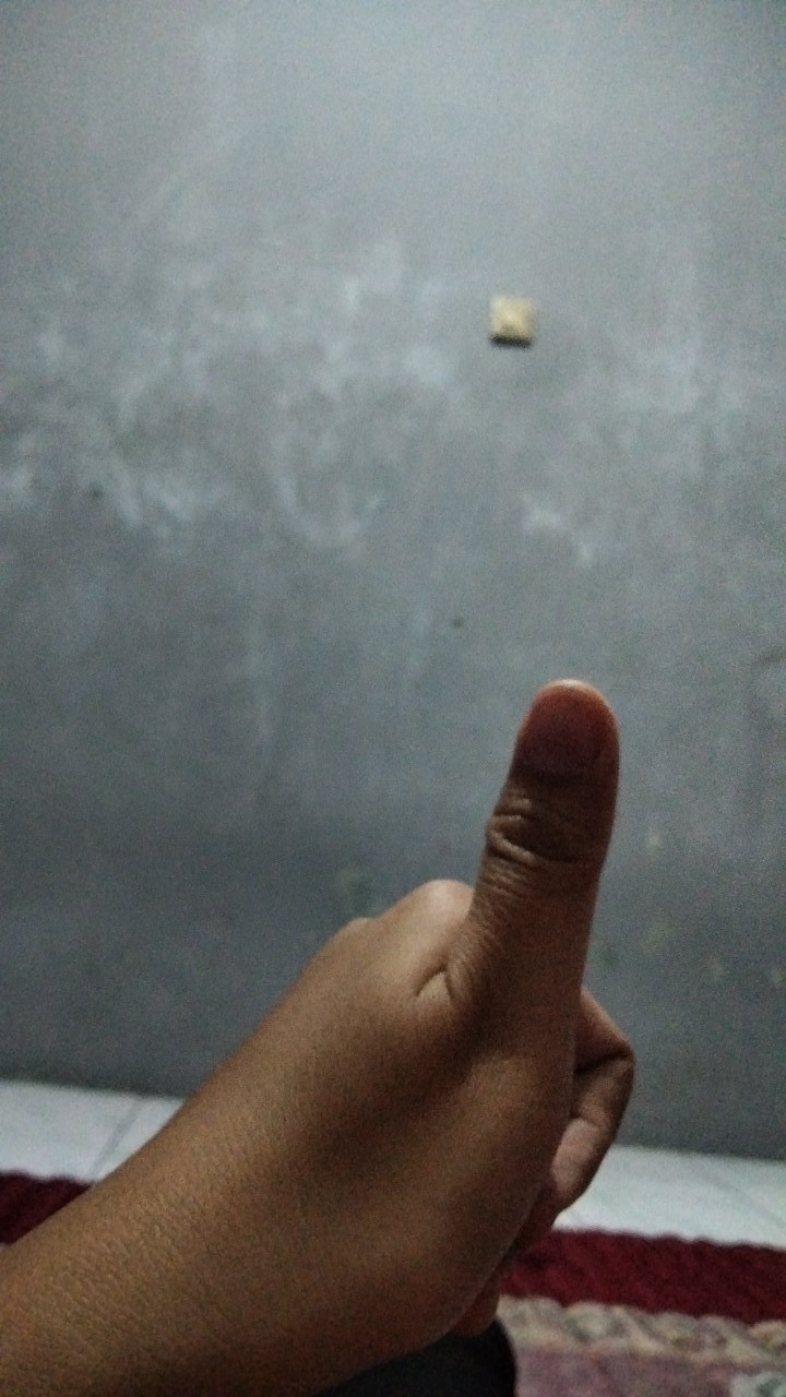 Semen Eceran Tigaroda