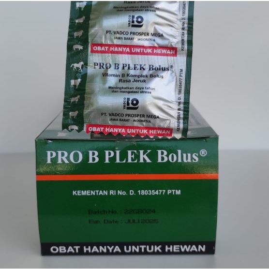 PRO B PLEK BOLUS 1 PCS RASA JERUK  - Vitamin B kompleks Hewan Sapi Kambing Domba