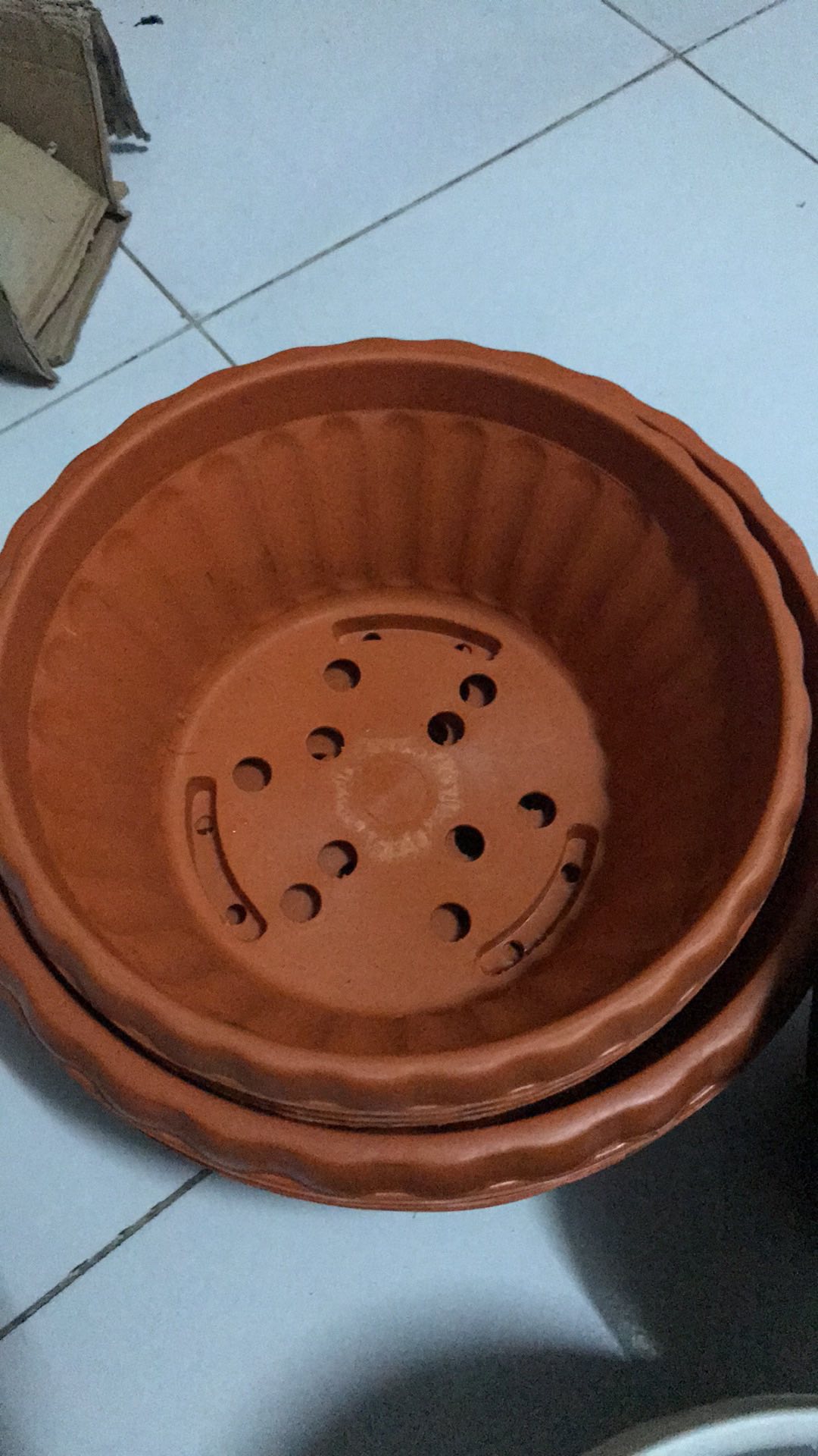 Pot Bunga Tanaman Bonsai Glory 25 Merah