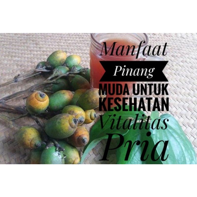 BUAH PINANG MUDA SEGAR / JAMBE MUDA ASLI JAMBI UNTUK KESEHATAN OBAT HERBAL TRADISIONAL