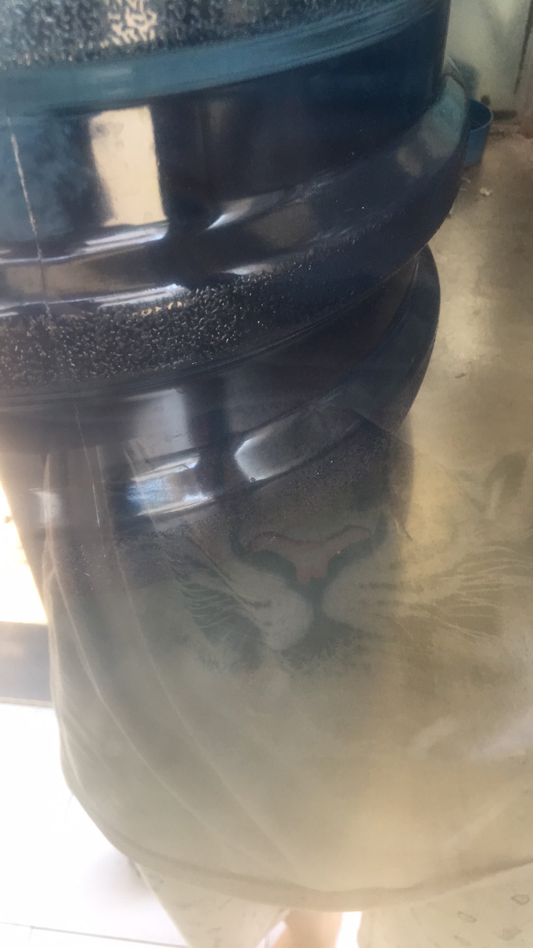 Kotak Telur  / Egg Box Isi 15 Sekat Organizer Bags Eggs Storage Kulkas Jumbo Dapur Masakan Bumbu New