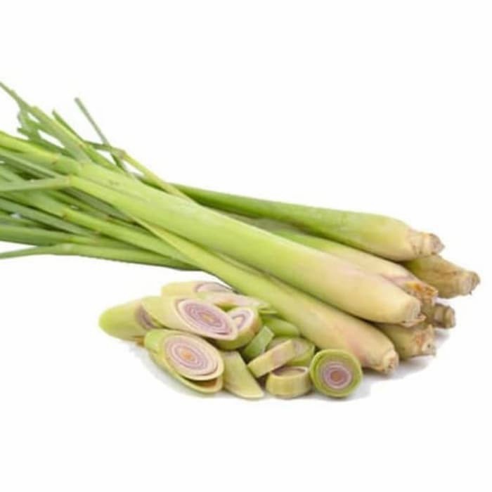 

Daun Serai Segar Sereh Fresh Sere Rempah Herbal Empon