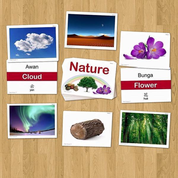 Flashcards Nature