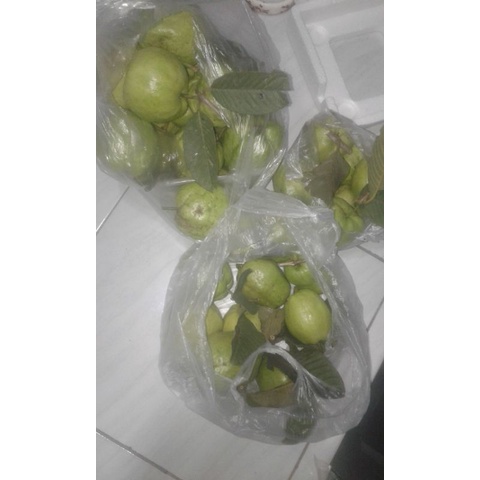 

jambu kristal F1 organik.1kg