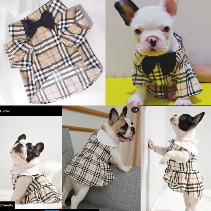baju anjing burberry baju anjing branded baju anjing lucu baju anjing korea