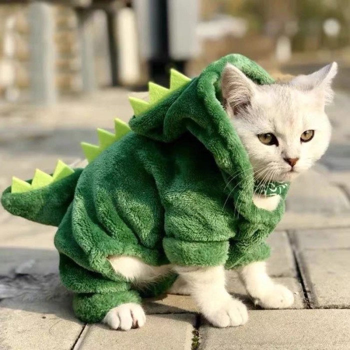 Pakaian hewan anjing kucing peliharaan bulu dinosaurus costum cat dog