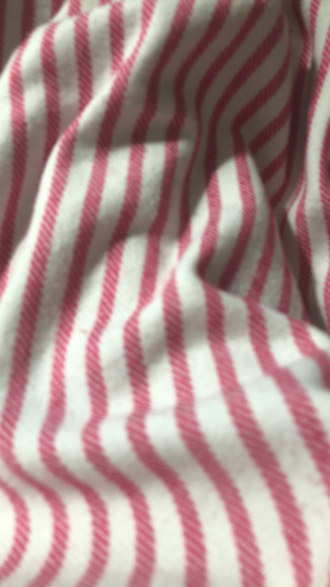 Batamgrosir.id | Kantong Storage Bag Ziplock Motif Kaktus Sedang Part 1