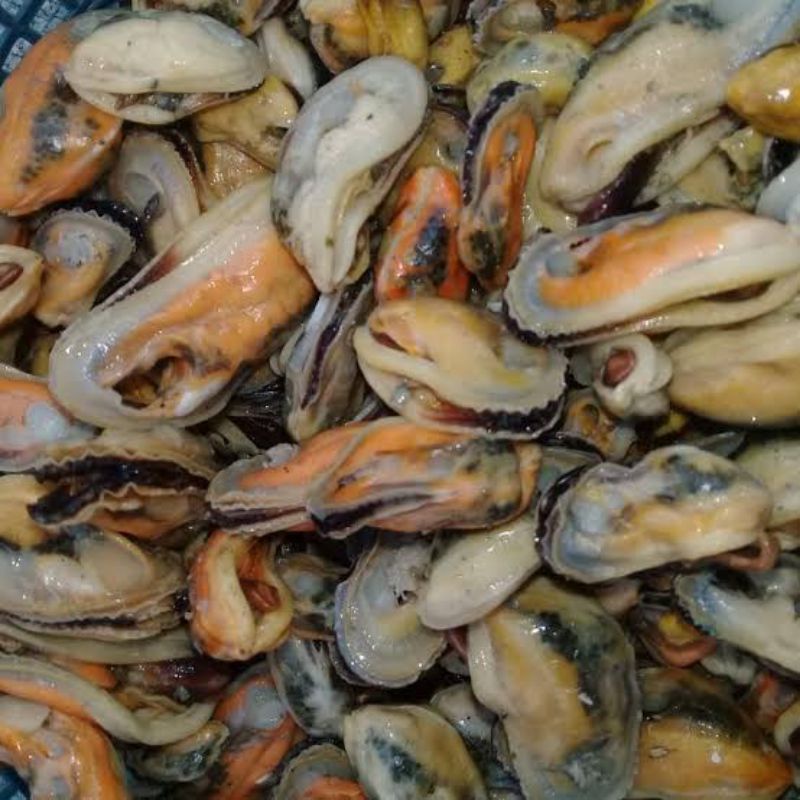 

Daging Kerang Hijau Segar Kupas Kerang Ijo Kerang Laut Hasil Laut Segar Seafood