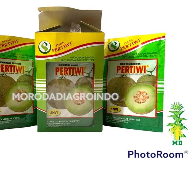 HOT SALE|LR15|Benih/Bibit melon Pertiwi anvi F1 13 gram by pertiwi