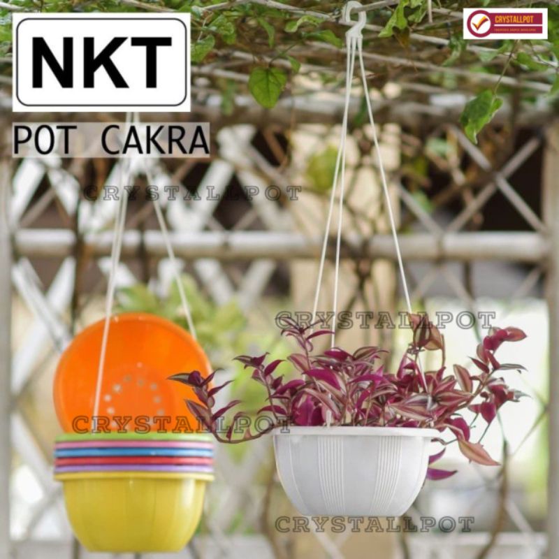 pot bunga tanaman gantung bulat nkt cakra warna warni 20cm - NKT CAKRA