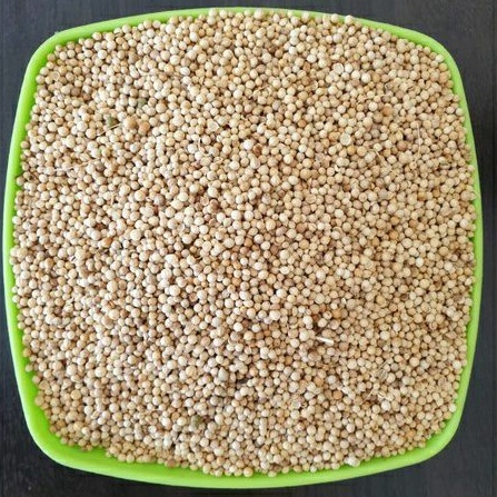 

Ketumbar 500gr murni premium ori / biji ketumbar 500 gram murah