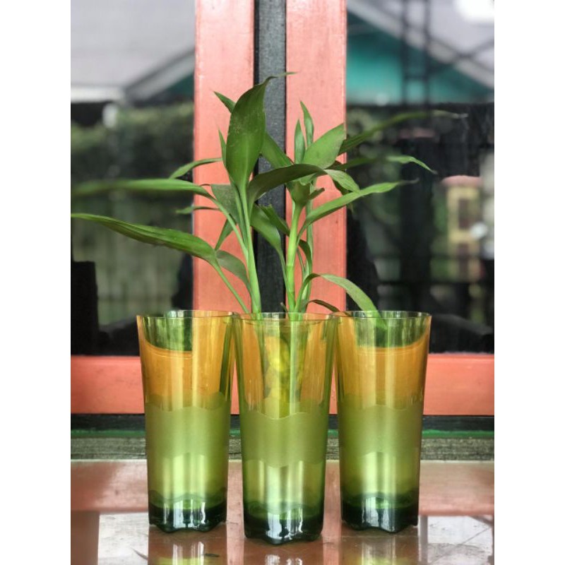 (1pcs) Gelas Tupperware crystal