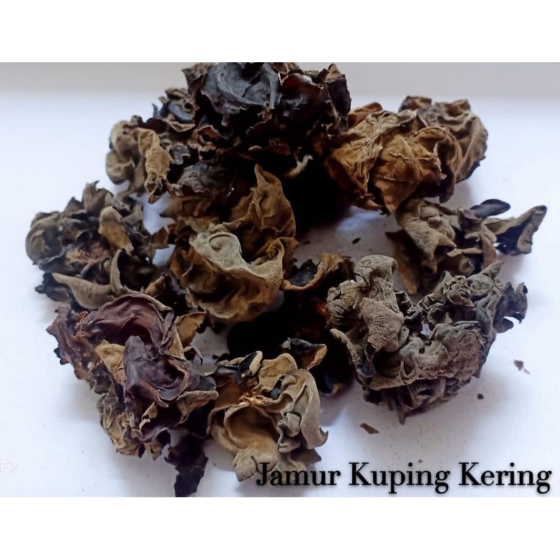 

Jamur Kuping Hitam Kering / Bokni / Bokji Hitam / Dried Black Fungus Bagus