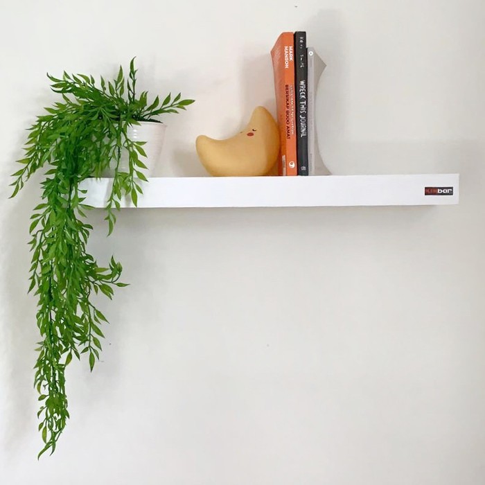 tanaman gantung Plastik / Tanaman Juntai (Pot)