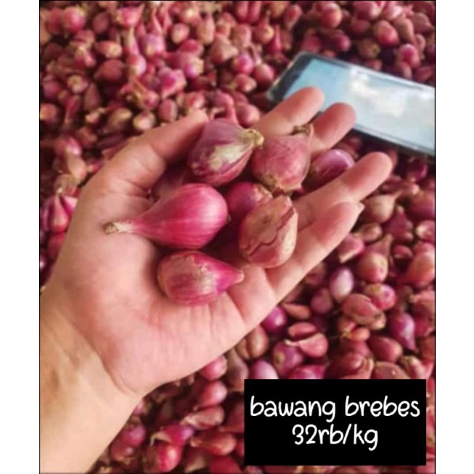 

BAWANG MERAH BREBES