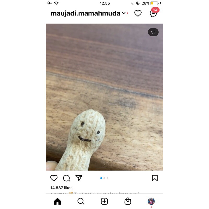 

kacang tanah lucu