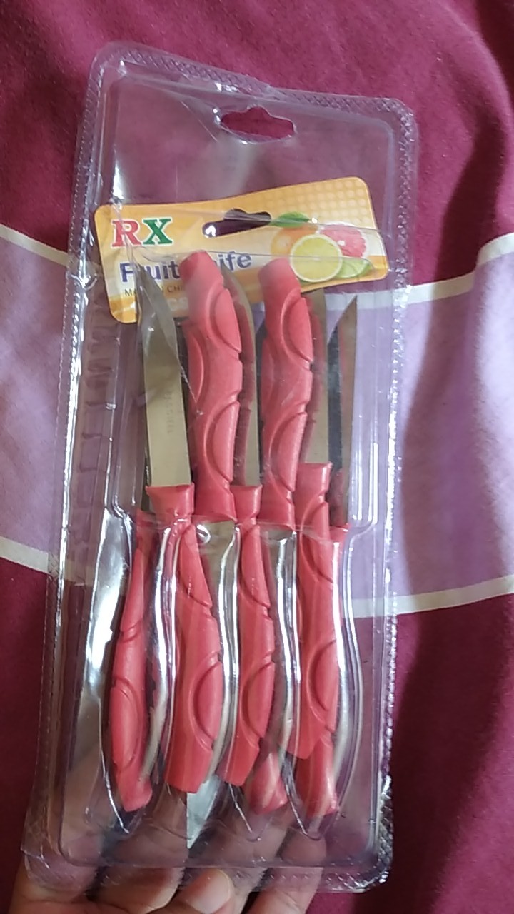 Pisau Buah Stainless Set Isi 12 Pcs Pisau Dapur Mini Pisau