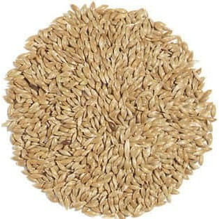KENARI SEED VITA CANARY SEED REPACK 1/2 KG PAKAN BURUNG CANARY BIJI GRADE A
