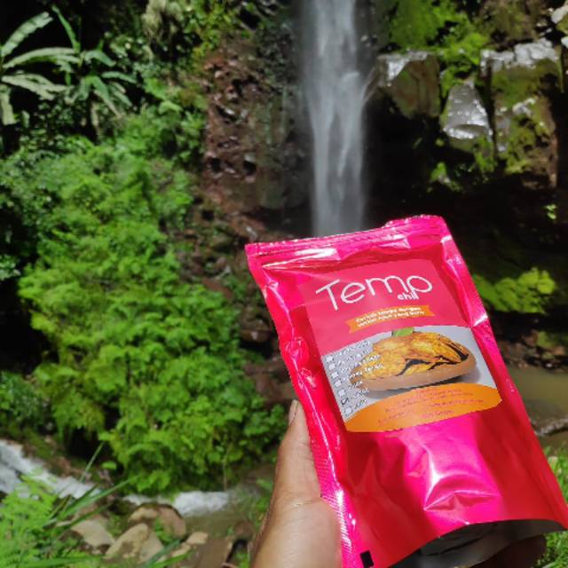 

KERIPIK TEMPE "ZAMAN NOW" banyak rasa | TempChip