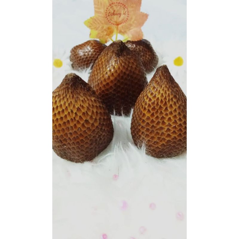 

salak pondoh