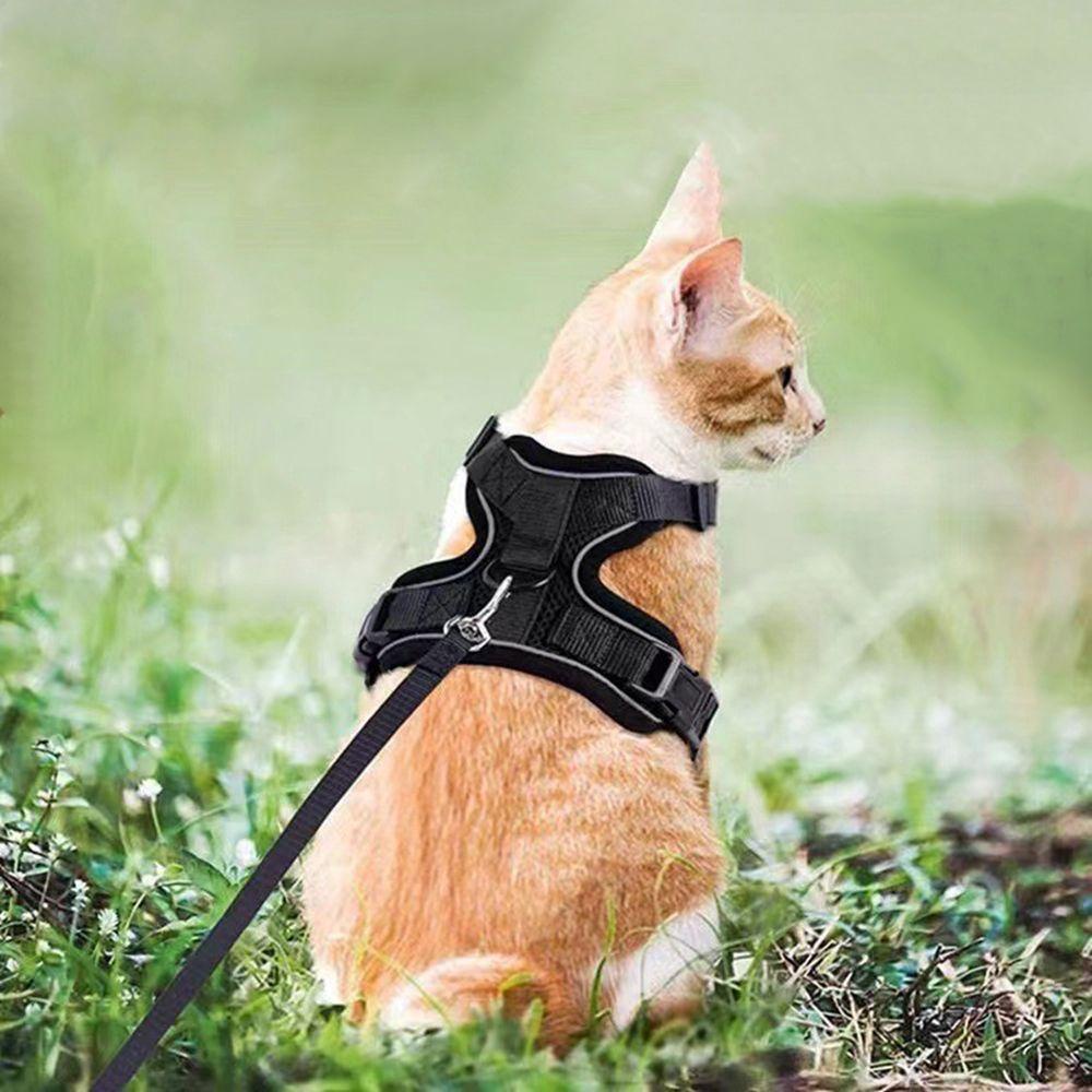 [Elegan] Cat Harness Reflektif Berjalan Escape Proof Lembut Perlengkapan Hewan Peliharaan