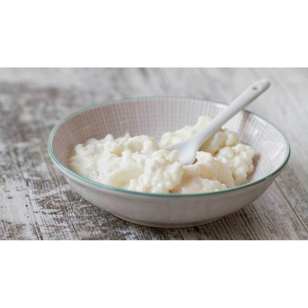 Kefir Grain