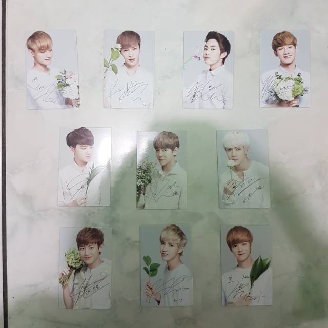EXO Nature Republic Photocard