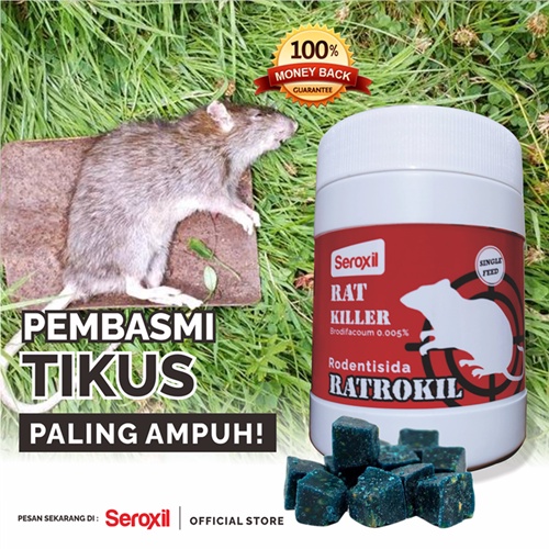 Umpan Racun Tikus Pembasmi Tikus Paling Ampuh 250 gram Seroxil