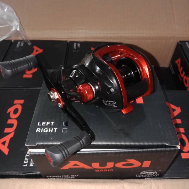 bc audi lizard basic