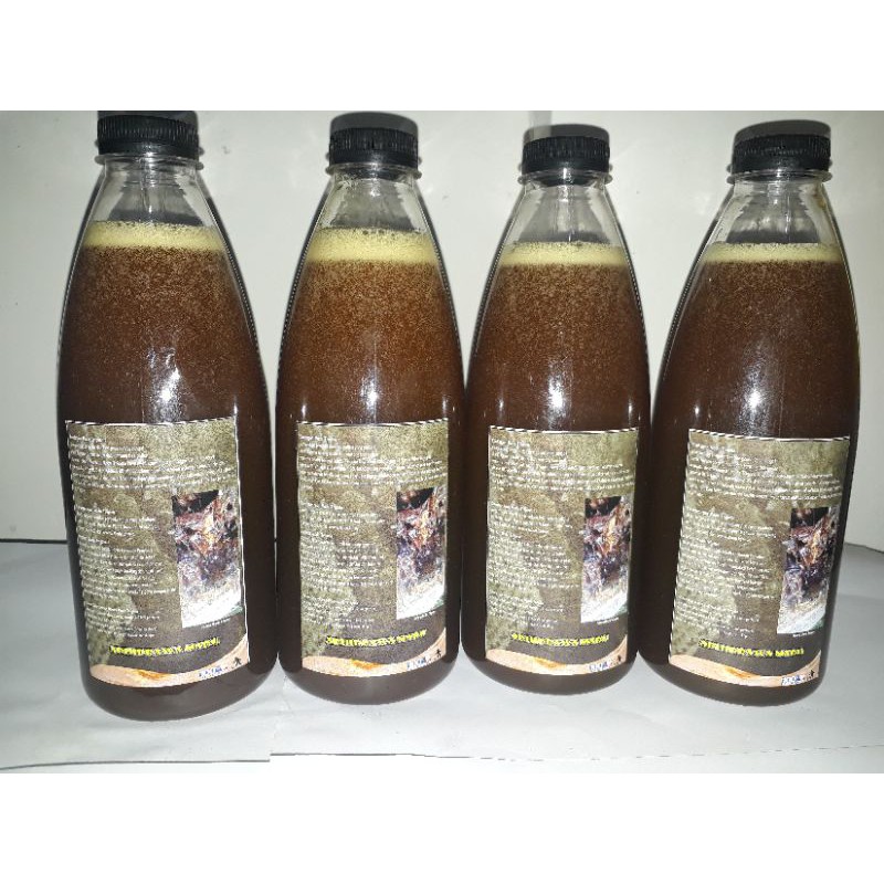 

Madu Trigona Asli