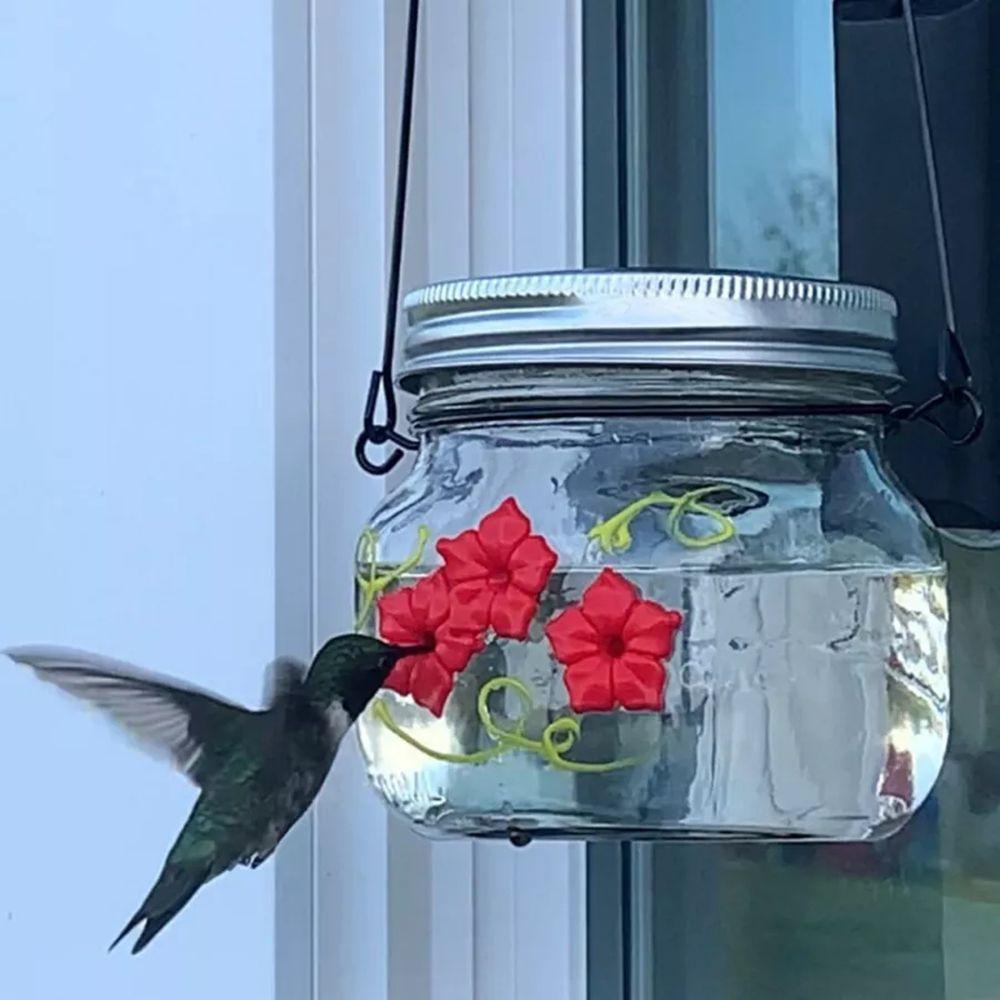 [Elegan] Hummingbird Feeder Kreatif Padat Portabel Gaya Gantung Dengan Bunga Perlengkapan Burung Plastik