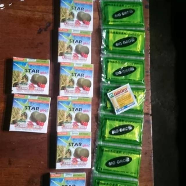 Paket biggrow bigrow big grow + stargib ga3 giberralid acid