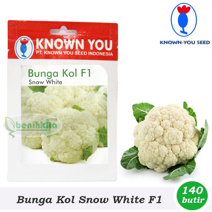 Benih/Bibit Bunga Kol Snow White F1 (Known You Seed)