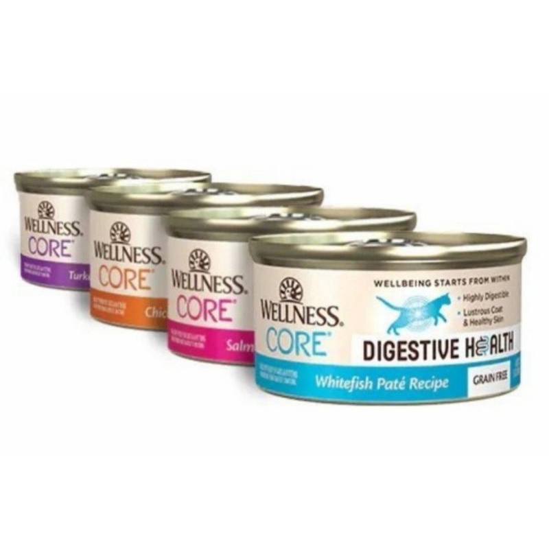 WELLNESS Core Digestive Health Pate Recipe 3oz - Wet Cat Food