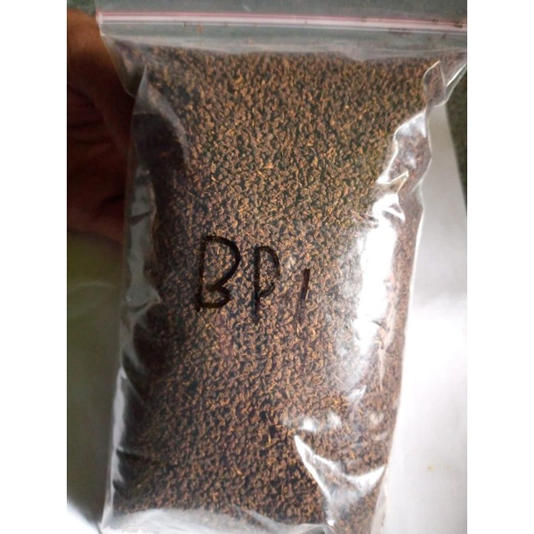 

original black tea BP 1
