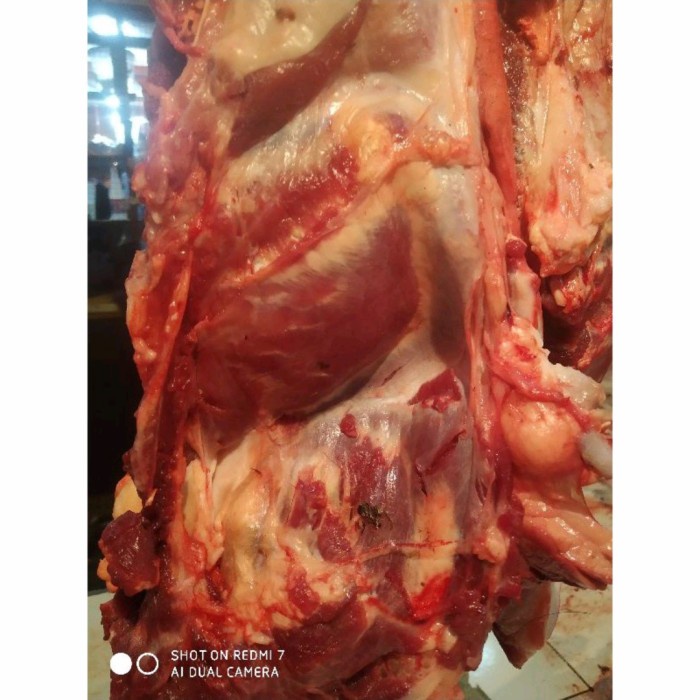 

DAGING KEPALA SAPI 500gr