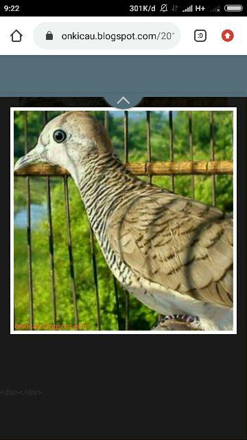 Kemeja Batik Pria Slim Fit Lengan Panjang Original Luigibatani Lbl747