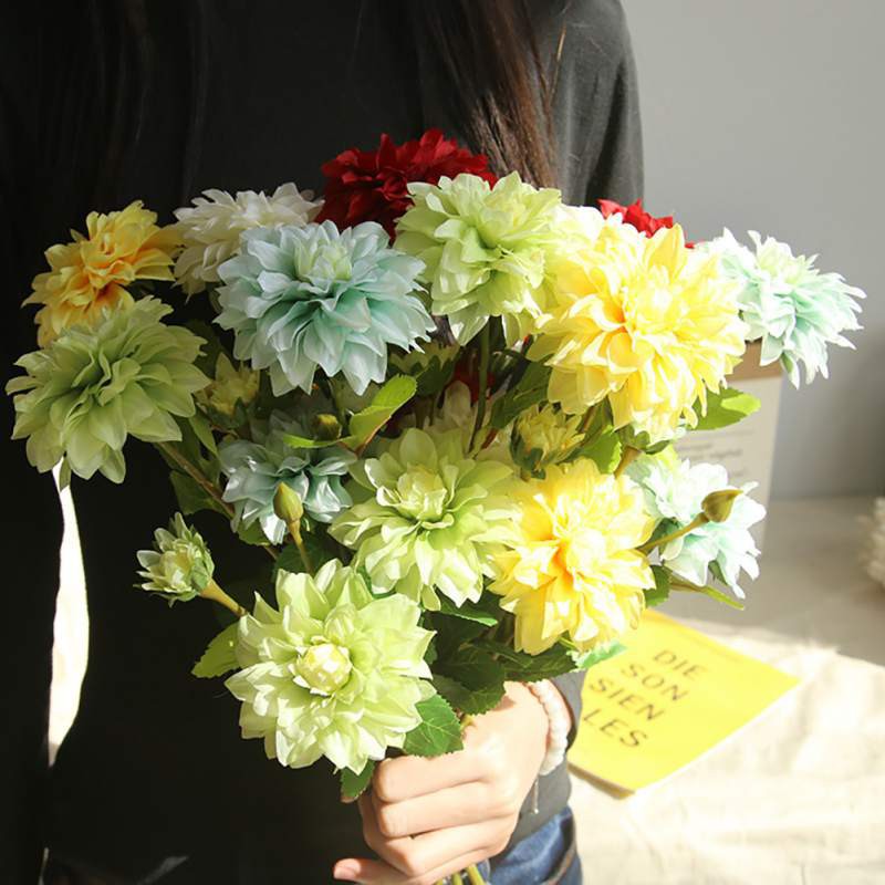 Gambar Wallpaper  Bunga  Dahlia  WallpaperShit