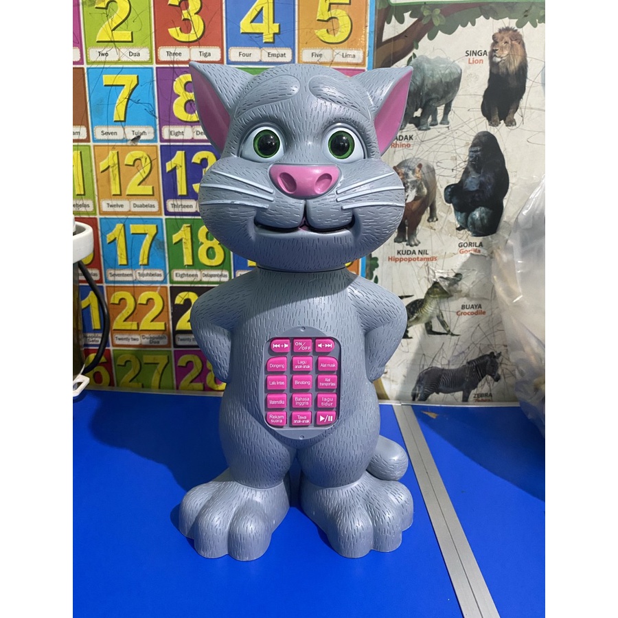 Talking TOM